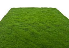 Akustický panel umělé rostliny a motiv mechu na filcovém podkladu, rozměr 52 x 52 cm z kolekce Modular Wall A.S.Création - DD136683