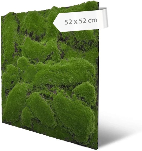 Akustický panel umělé rostliny a mech, 52 x 52 cm / Modular Wall 136684  A.S.Création