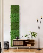 Hedvábně lesklý akustický panel v hedvábném lesku na povrchu, umělé rostliny a motiv mechu na filcovém podkladu, rozměr 52 x 52 cm z kolekce Modular Wall A.S.Création - DD136684