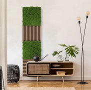 Hedvábně lesklý akustický panel v hedvábném lesku na povrchu, umělé rostliny a motiv mechu na filcovém podkladu, rozměr 52 x 52 cm z kolekce Modular Wall A.S.Création - DD136684