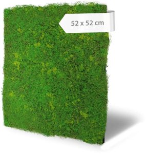 Akustický panel umělý mech a rostliny, 52 x 52 cm / Modular Wall 136685 A.S.Création