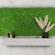 Mechový akustický panel, umělé rostliny a motiv mechu na filcovém podkladu, rozměr 52 x 52 cm z kolekce Modular Wall A.S.Création - DD136685