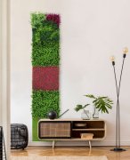 Akustický panel, dokonalá napodobenina živých rostlin na filcovém podkladu, rozměr 52 x 52 cm z kolekce Modular Wall A.S.Création - DD136687