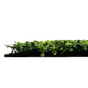 Akustický panel s rostlinným motivem, dokonalá napodobenina živých rostlin na filcovém podkladu, rozměr 52 x 52 cm z kolekce Modular Wall A.S.Création - DD136688