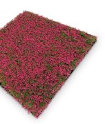 Akustický panel červené rostliny, imitace živých rostlin na filcovém podkladu, rozměr 52 x 52 cm z kolekce Modular Wall A.S.Création - DD136689