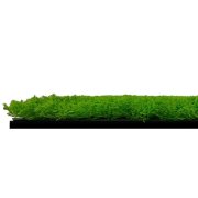 Akustický panel zelené rostliny, imitace živých rostlin na filcovém podkladu, rozměr 52 x 52 cm z kolekce Modular Wall A.S.Création - DD136690