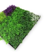 Akustický panel zelené a fialové květy a rostliny, imitace živých rostlin na filcovém podkladu, rozměr 52 x 52 cm z kolekce Modular Wall A.S.Création - DD136691