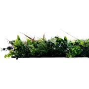 Akustický panel zelené květy a rostliny, imitace živých rostlin na filcovém podkladu, rozměr 52 x 52 cm z kolekce Modular Wall A.S.Création - DD136692
