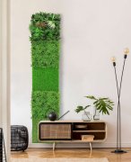Akustický panel zelené květy a rostliny, imitace živých rostlin na filcovém podkladu, rozměr 52 x 52 cm z kolekce Modular Wall A.S.Création - DD136692
