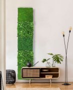 Akustický panel zelené květy a rostliny, imitace živých rostlin na filcovém podkladu, rozměr 52 x 52 cm z kolekce Modular Wall A.S.Création - DD136693