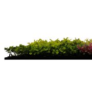 Akustický panel zelené a červené květy a rostliny, imitace živých rostlin na filcovém podkladu, rozměr 52 x 52 cm z kolekce Modular Wall A.S.Création - DD136694