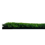 Akustický panel zelené rostliny, imitace živých rostlin na filcovém podkladu, rozměr 52 x 52 cm z kolekce Modular Wall A.S.Création - DD136695