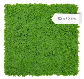 Akustický panel mech a zelené rostliny, věrná imitace, 52 x 52 cm / Modular Wall 136696 A.S.Création
