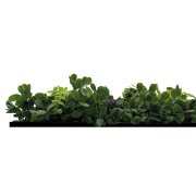 Akustický panel květiny a zelené rostliny, imitace živých rostlin na filcovém podkladu, rozměr 52 x 52 cm z kolekce Modular Wall A.S.Création - DD136697