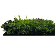 Akustický panel květiny a zelené rostliny, imitace živých rostlin na filcovém podkladu, rozměr 52 x 52 cm z kolekce Modular Wall A.S.Création - DD136698
