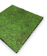 Mechový akustický panel, umělé rostliny a motiv mechu na filcovém podkladu, rozměr 52 x 52 cm z kolekce Modular Wall A.S.Création - DD136682