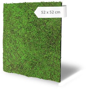 Akustický panel design mechu, umělé rostliny, 52 x 52 cm / Modular Wall 136682 AS Création