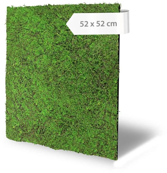 Akustický panel design mechu, umělé rostliny, 52 x 52 cm / Modular Wall 136682 AS Création