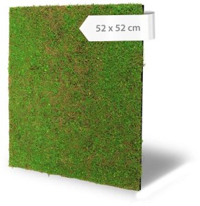 Akustický panel design mechu, umělé rostliny, 52 x 52 cm / Modular Wall 136681 AS Création