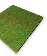 Mechový akustický panel, umělé rostliny a motiv mechu na filcovém podkladu, rozměr 52 x 52 cm z kolekce Modular Wall A.S.Création - DD136681