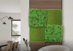 Mechový akustický panel, umělé rostliny a motiv mechu na filcovém podkladu, rozměr 52 x 52 cm z kolekce Modular Wall A.S.Création - DD136681