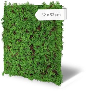 Akustický panel umělé rostliny a trávy, 52 x 52 cm / Modular Wall 136680 AS Création