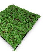 Akustický panel, dokonalá napodobenina živých rostlin na filcovém podkladu, rozměr 52 x 52 cm z kolekce Modular Wall A.S.Création - DD136680