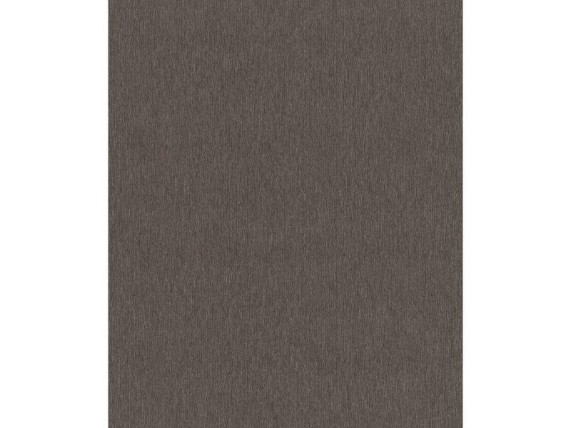 Vliesová tapeta jednobarevná černá s leskem 608625 / Tapety na zeď Sky Lounge (0,53 x 10,05 m) Rasch