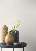 Vliesová tapeta jednobarevná krémová, listy (0,53 x 10,05 m) / Vliesové tapety na zeď My Moments 633368 Rasch