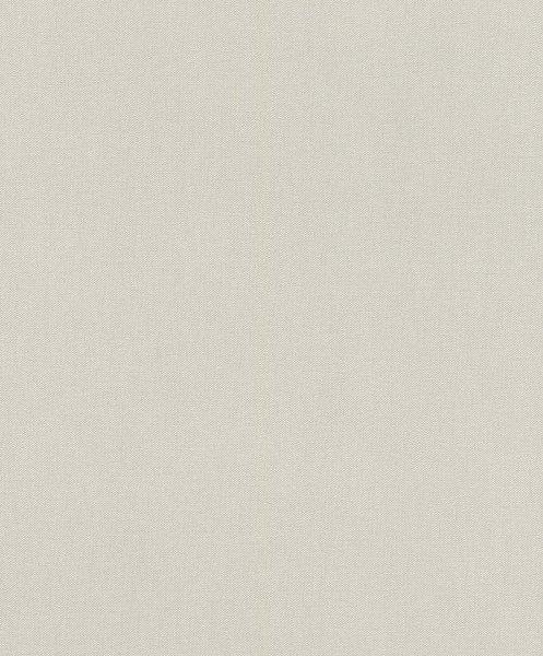 Vliesová tapeta jednobarevná šedá, listy (0,53 x 10,05 m) / Vliesové tapety na zeď My Moments 633375 Rasch