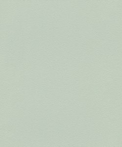 Vliesová tapeta jednobarevná zelená (0,53 x 10,05 m) / Vliesové tapety na zeď My Moments 700688 Rasch