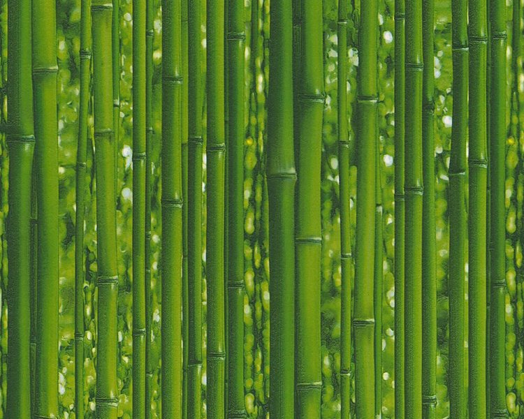 Vinylová tapeta 95936-1 zelený bambus / Vinylové tapety na zeď 959361 Il Decoro (0,53 x 10,05 m) A.S.Création
