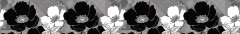 dekorativní bordura černobílé květy