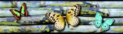 Samolepicí bordura Motýli WB8238 (14 cm x 5 m) / WB 8238 Butterflies dekorativní samolepicí bordury AG Design
