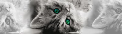 Samolepicí bordura Kočka, kotě WB8217 (14 cm x 5 m) / WB 8217 Cat dekorativní samolepicí bordury AG Design