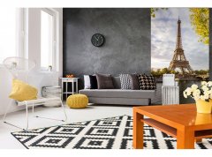 Obrazová tapeta Seina v Paříži - vliesová fototapeta DIMEX LINE