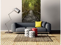 Obrazová tapeta Mangrovový les - vliesová fototapeta DIMEX LINE