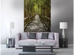 Obrazová tapeta Mangrovový les - vliesová fototapeta DIMEX LINE