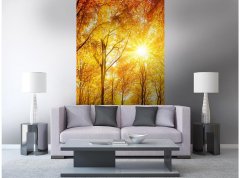 Obrazová tapeta Slunečný les - vliesová fototapeta DIMEX LINE