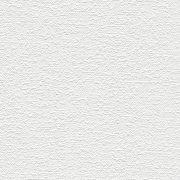 Vliesová tapeta jednobarevná bílá 4002392163 (0,53 x 10,05 m) A.S.Création