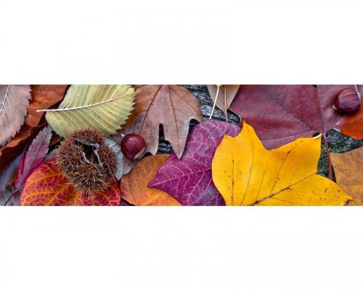Samolepicí fototapeta na kuchyňskou linku Podzimní listí KI180-047 / Fototapety do kuchyně Dimex (180 x 60 cm)