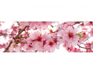 Samolepicí fototapeta na kuchyňskou linku Květy jabloní KI180-054 / Fototapety do kuchyně Dimex (180 x 60 cm)