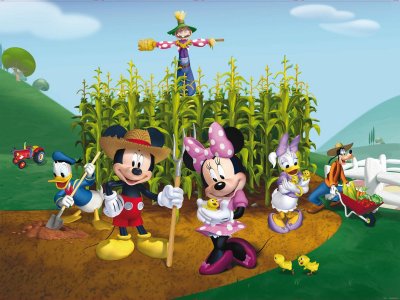 Fototapeta Mickey Mouse a Minnie Disney FTDNXXL5029 / fototapety do dětského pokoje FTDNXXL 5029 (360 x 270 cm) AG Design