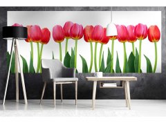 Obrazová tapeta Tulipány - vliesová fototapeta DIMEX LINE