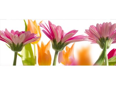 Vliesová fototapeta Jarní květiny 375 x 150 cm panoramatická + lepidlo zdarma / MP-2-0142 vliesové fototapety na zeď DIMEX