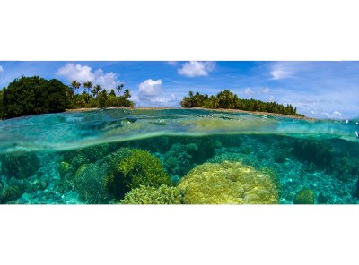 Vliesová fototapeta Korálový útes 375 x 150 cm panoramatická + lepidlo zdarma / MP-2-0200 vliesové fototapety na zeď DIMEX