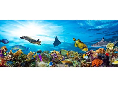 Vliesová fototapeta Ryby v oceánu 375 x 150 cm panoramatická + lepidlo zdarma / MP-2-0216 vliesové fototapety na zeď DIMEX