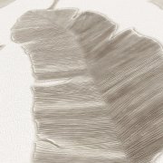 Vliesová tapeta palmové listy - béžová, šedá 4002392185 (0,53 x 10,05 m) A.S.Création