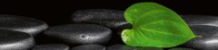 Fototapeta do kuchyně ZEN - Zelený list a černé kameny (260 x 60 cm) - to je nová kuchyňská linka jako mávnutím kouzelného proutku - čistě, snadno a rychle