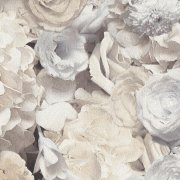 Vliesová tapeta okvětní lístky růží, růže v kombinaci šedé, černé a bílé barvy, přírodní motiv - vliesová tapeta od A.S.Création